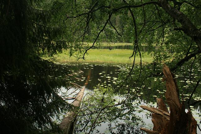 Huzenbacher See 2008 Bild 03